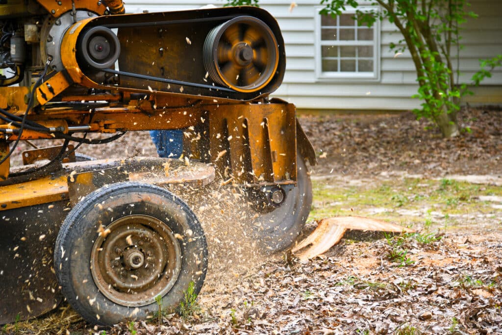 A Stump Grinding Machine Removing a Stump from Cut Down Tree