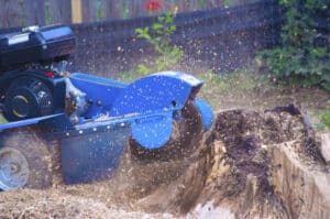 Machine grinding stump