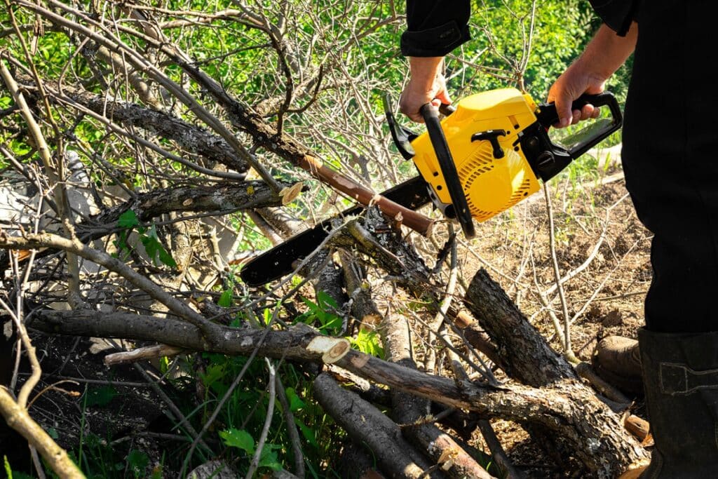 sawing tree branches